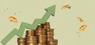 Capital Optimization
